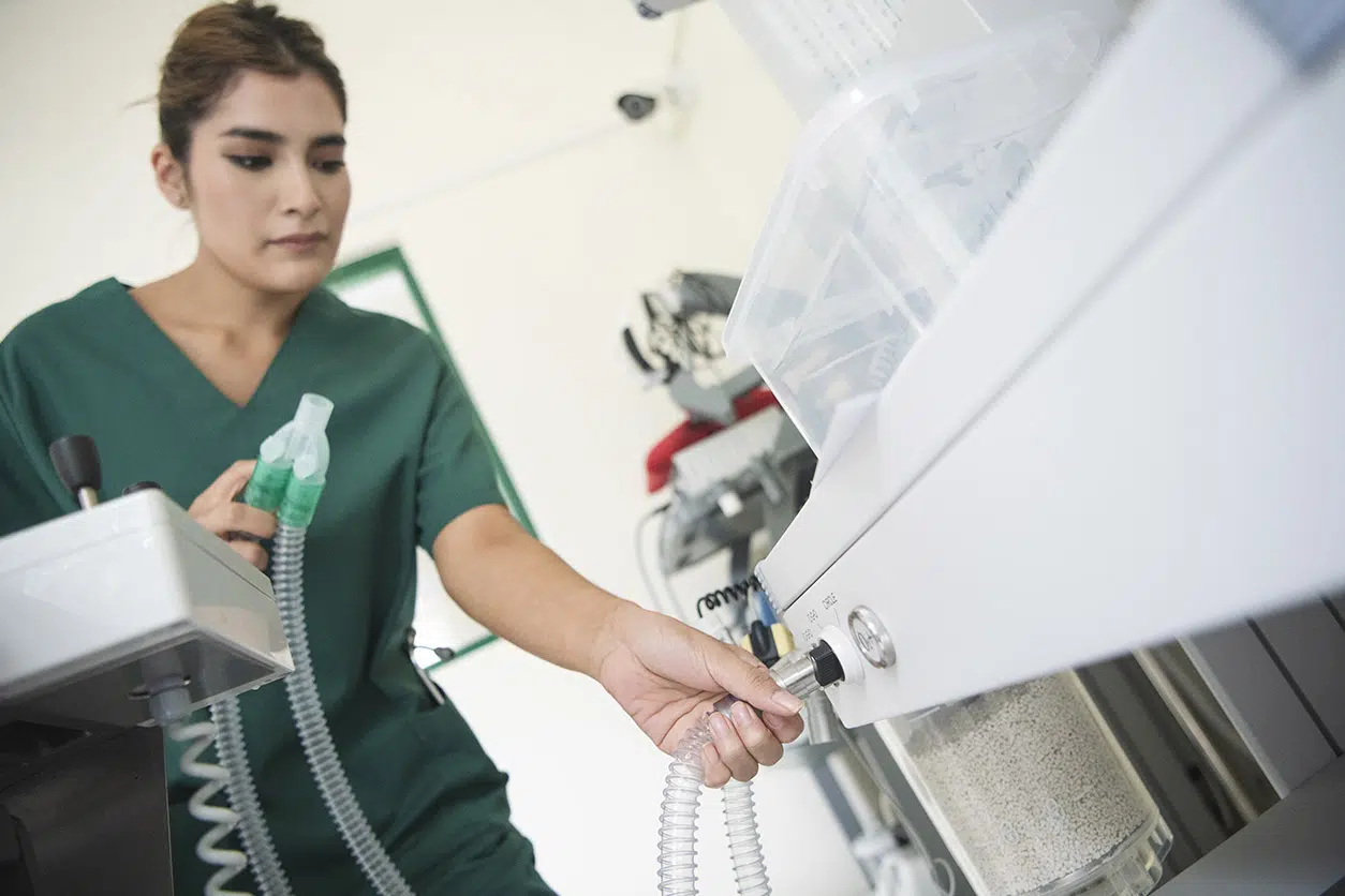 funciones-auxiliar-veterinaria