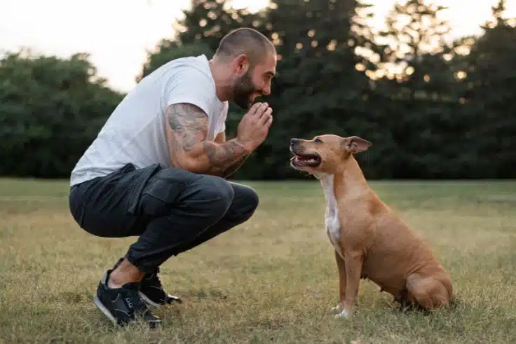 diferencia-adiestrador-educador-canino